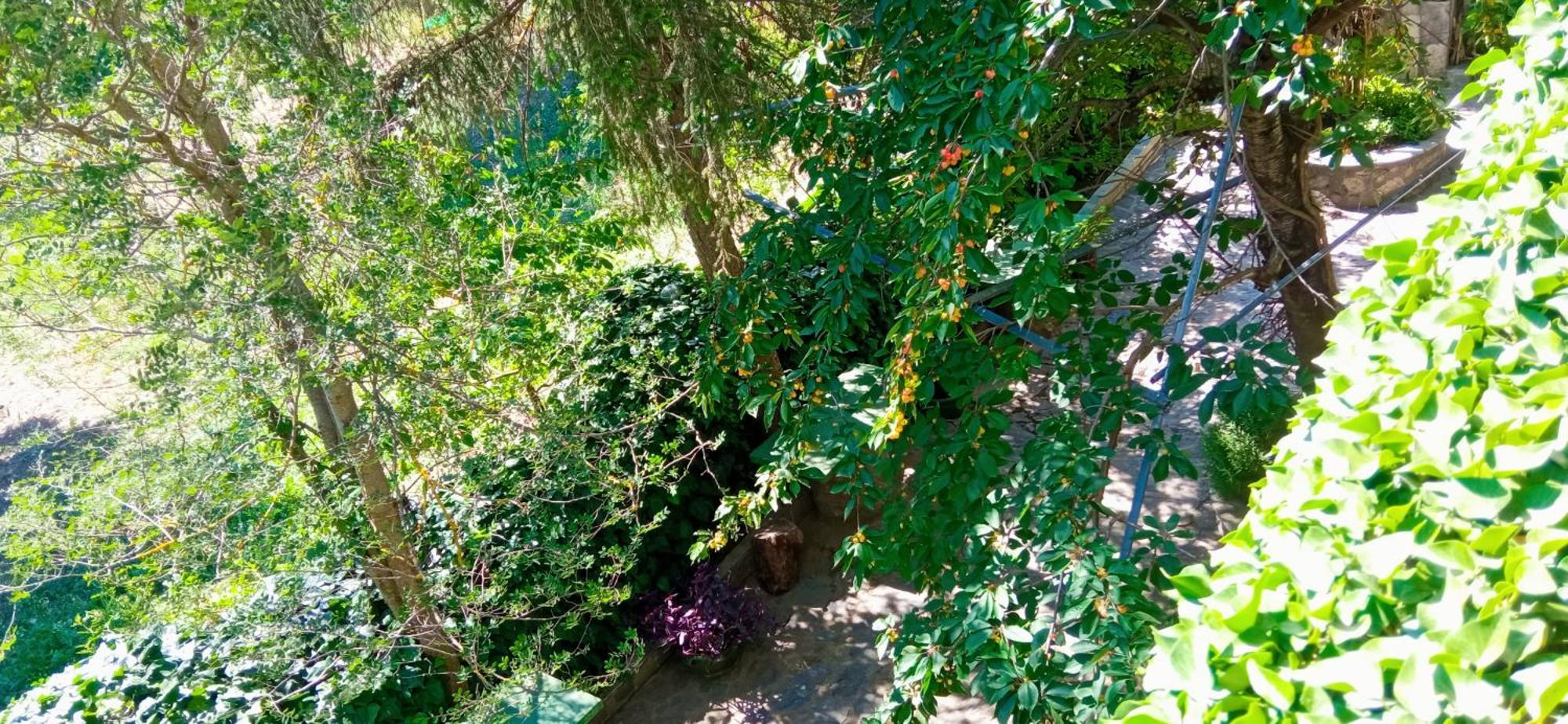 Lassithi Plateau Traditional Suite Agios Georgios  外观 照片